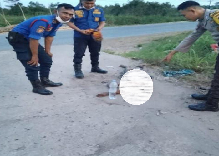 Mayat Pria Tanpa Identitas Ditemukan Warga Dipinggir Jalan