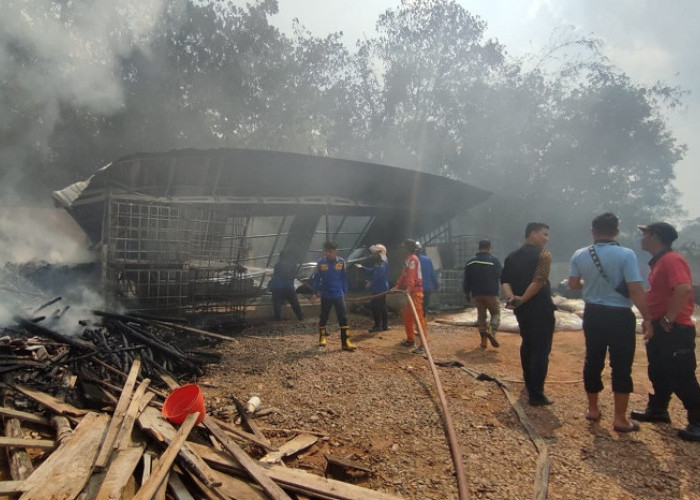 Kebakaran Melanda Gudang Penampungan Minyak Goreng Bekas di Palembang, Api Diduga dari Bakar Sampah