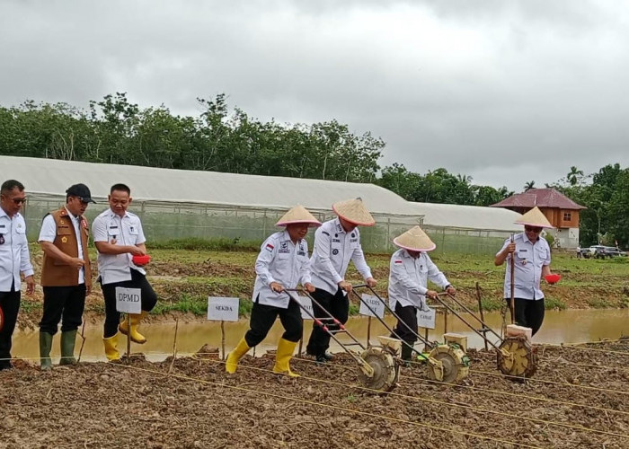 Hari Desa, PJ Bupati Banyuasin Ajak Masyarakat Manfaatkan Lahan Kosong