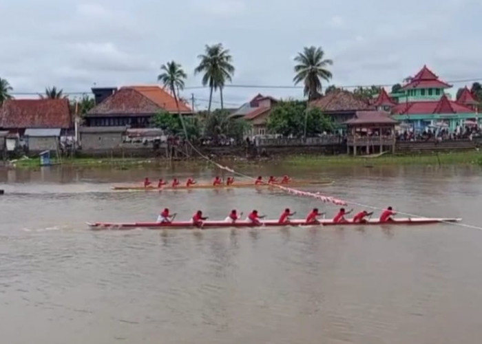 2 Peserta Lomba Bidar di sungai Komering OKI Pingsan, Tak Ada Posko Tim Medis di Lokasi