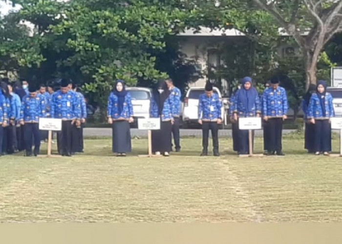 Dua Orang Meninggal Dunia, 1.236 PPPK Ogan Ilir Akan Dilantik 16 September 2025