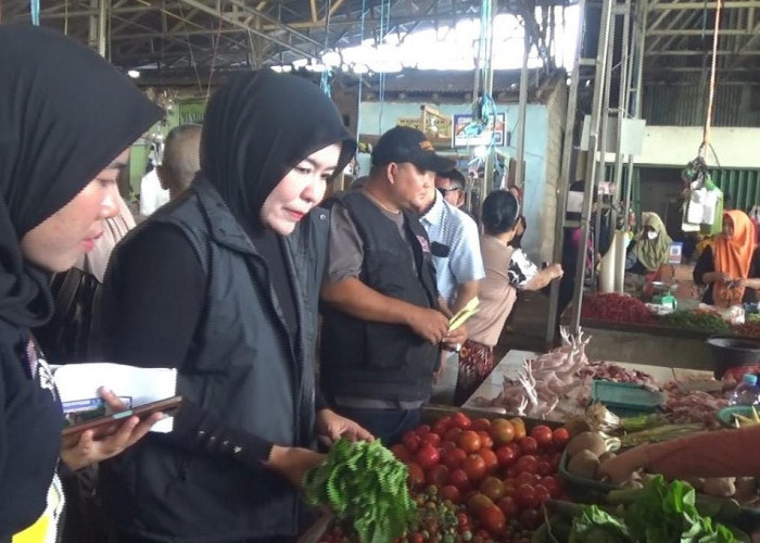  Blusukan ke Pasar, Fitri Serap Keluhan Pedagang Kebun Bunga Palembang