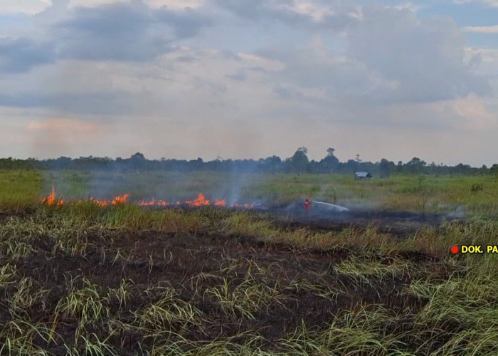 Kemarau Diprediksi Lebih Kering, BPBD Sumsel Siapkan Kanal Penampung Air