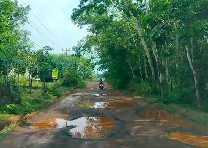 Jalan Rusak Parah, Warga 5 Desa di Banyuasin III Menjerit Berkubang Lumpur!