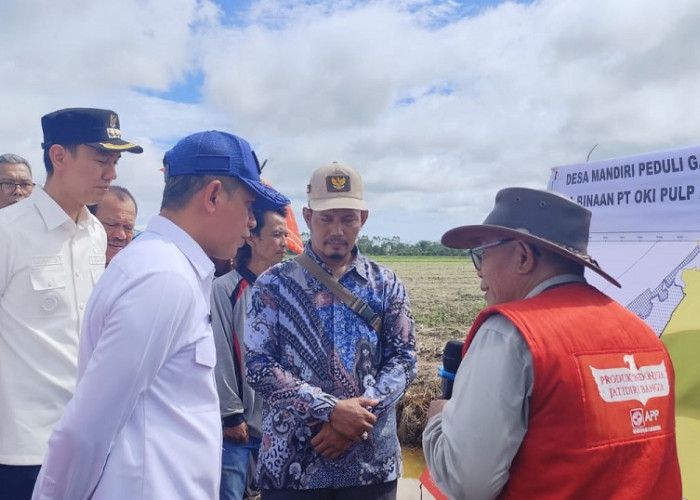 Jadi Percontohan di Indonesia, Menteri LHK Resmikan Desa Mandiri Peduli Gambut di OKI
