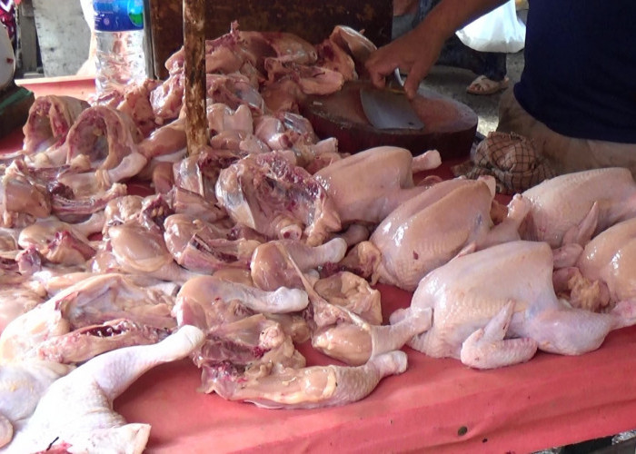  Stok Terbatas, Harga Cabai dan Ayam di Palembang Meroket