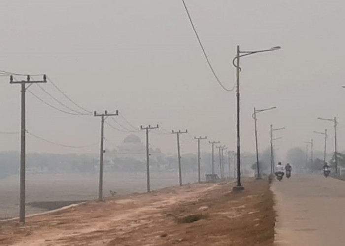200 Lebih Titik Api Kebakaran Lahan di Ogan Ilir dengan Total Luas 1.286 Hektare, ISPU Kategori Berbahaya