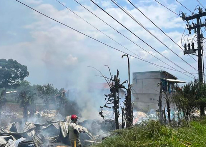 PLN Ajak Masyarakat Waspada Aktivitas Berbahaya di Sekitar Aset Kelistrikan Demi Keselamatan Bersama