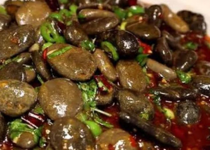 Viral! Tumis Batu, Makanan Paling Unik dari China