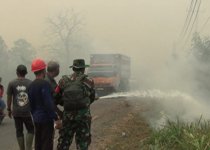 Ratusan Hektare Lahan di Desa Gasing Terbakar, Kabut Asap Bahayakan Pengguna Jalan