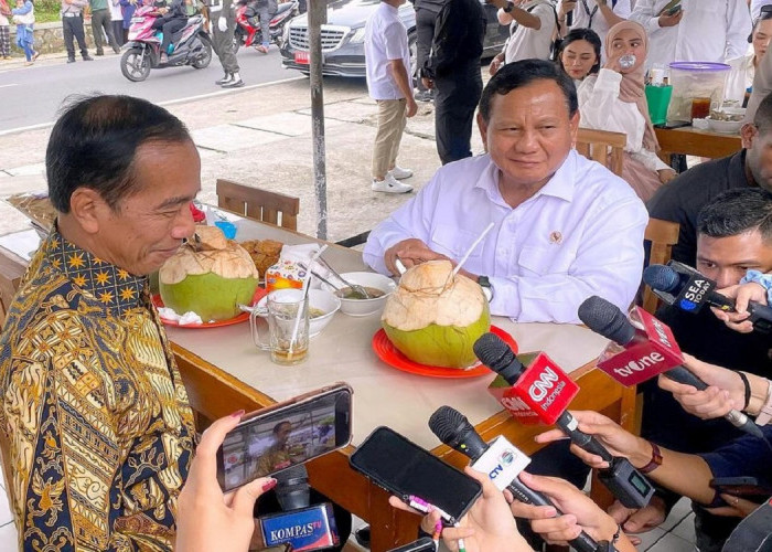Pakar Asing Dari Australia Ian Wilson Prediksi Nasib Indonesia Jika Prabowo Jadi Presiden