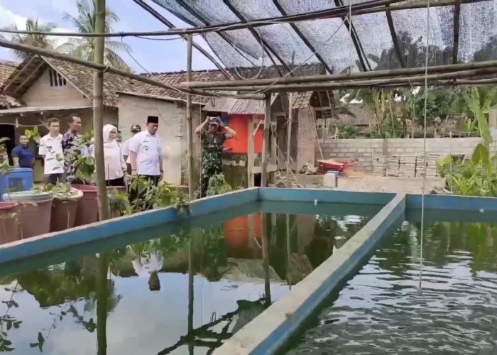 Video: Pj Bupati OKU Dukung Budi Daya Ikan Gabus untuk Mewujudkan Kampung Perikanan