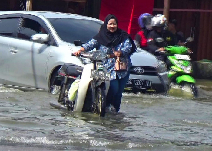 Walhi Sumsel: Banjir di Kota Palembang Akibat Permasalahan Infastruktur dan Kurang Ruang Terbuka Hijau