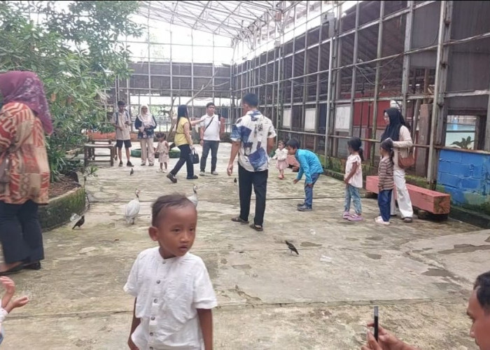 Libur Nataru dan Sekolah Pengunjung Birdpark Meningkat