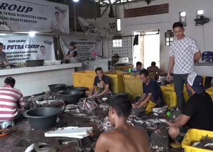 Suka Duka Pelaku Usaha Ikan Giling di Kampung Siggi Palembang