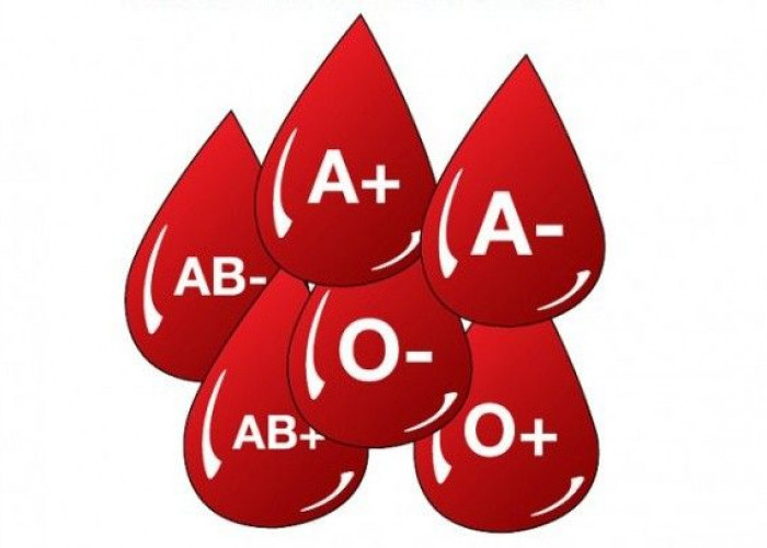 Benarkah Donor Darah Dapat Meningkatkan Kesehatan Tubuh