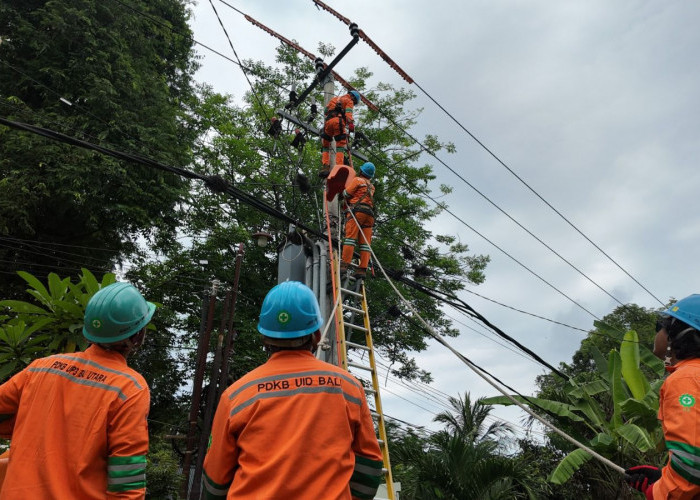 Sistem Kelistrikan Nasional Andal, PLN Berhasil Jaga Layanan Momen Pergantian Tahun