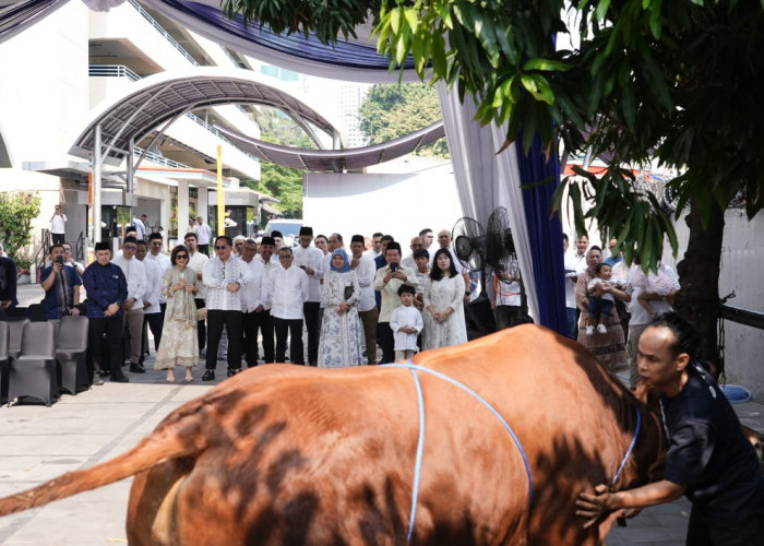 Insan BRILiaN Berbagi 961 Hewan Kurban pada Idul Adha 1446 H
