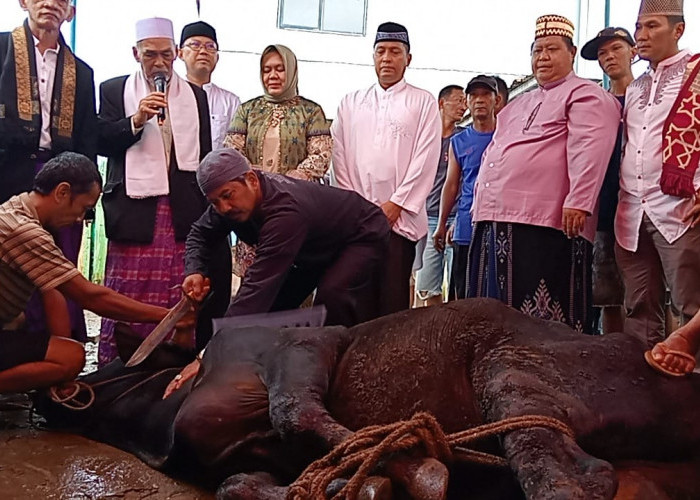 Bupati Pimpin Salat Id dan Serahkan Hewan Kurban Presiden Prabowo 