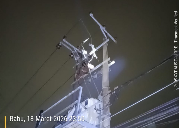 PT PLN (Persero) ULP Prabumulih PLN ULP Prabumulih Gerak Cepat Tangani Gangguan Jaringan di Penyulang Patimura