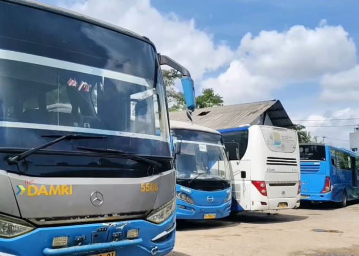 Libur Nataru, Damri Palembang Siapkan 40 Armada