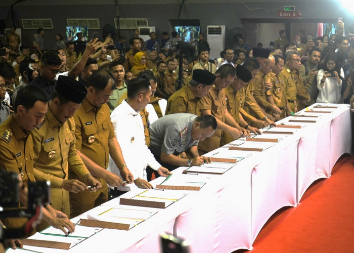 Koperasi Merah Putih Disepakati! 17 Bupati/Walikota Sumsel Teken Raperda Serentak
