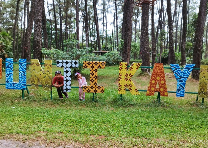 Rekreasi Hutan Kota! Dapatkan Pengalaman Seru di Taman Wisata Alam Punti Kayu Palembang