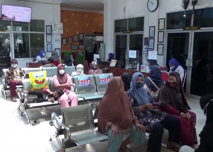 Kasus DBD di Sumsel Capai 2.061 Selama Semester Pertama 2025, 11 Meninggal Dunia