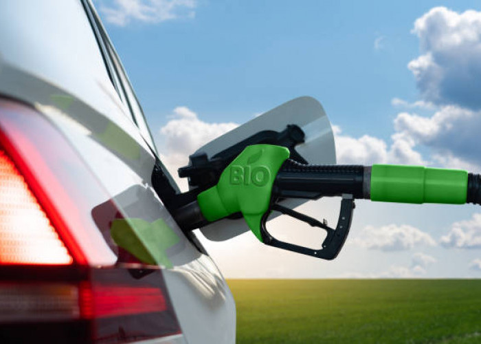 Industri Otomotif Responsif Terhadap Rencana Penerapan Program Biodiesel B40 Tahun 2025