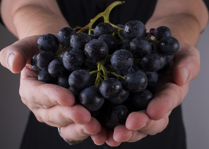 Mari Menghitung Nutrisi: Inilah kandungan Yang Ada Dalam 100 Gram Anggur  Hitam