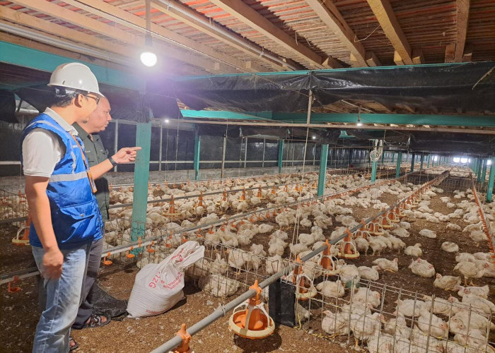Utamakan Daya Beli Masyarakat, Pemerintah Jaga Tarif Listrik Tetap Terjangkau Sepanjang 2025