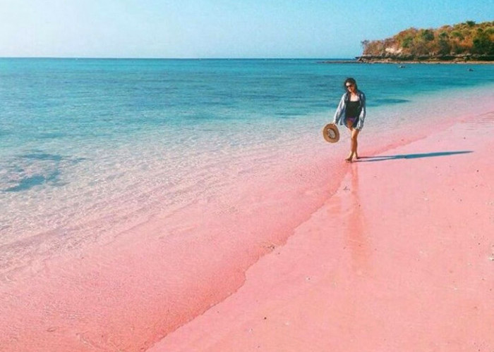 Pesona Memukau Pantai Pink Lombok: Surga Pantai Berwarna-warni di Pulau Seribu Masjid