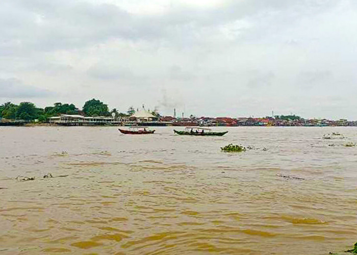Eceng Gondok Ganggu Transportasi di Sungai Musi, Sopir Speedboat Berharap Pemkot Palembang Segera Bersihkan