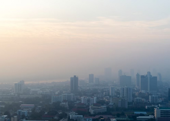 Mengatasi Kabut Asap Karhutla dari RI: Strategi Singapura dan Malaysia