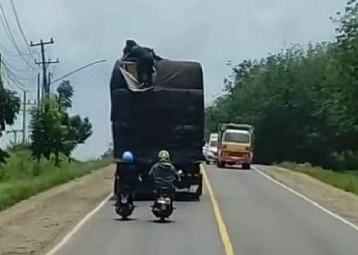 Aksi Bajing Loncat Di Jalintim Banyuasin, Sopir Ketakutan 