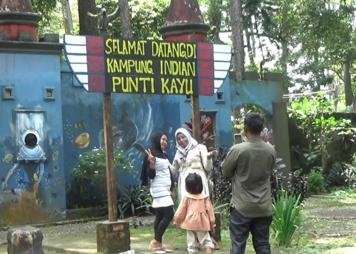 Hamparan Pohon Pinus menjadi Daya Tarik Wisatawan Dimomen Libur Lebaran 