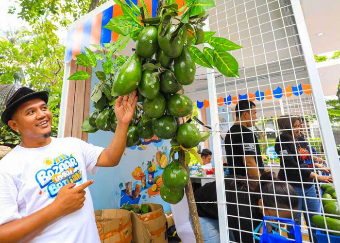 Petani di Desa Baran Gembongan Berhasil Kembangkan Budidaya Alpukat Berkat Program BRI Klasterku Hidupku