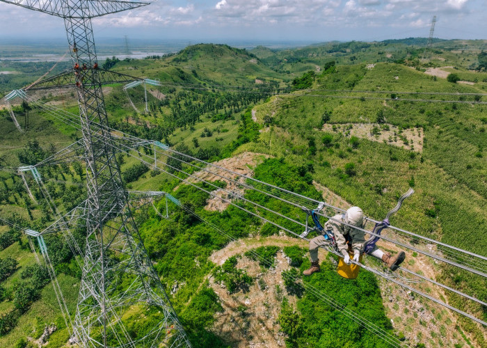 PLN Kembali Pertahankan Posisi Puncak Sektor Utilitas Fortune Southeast Asia 500