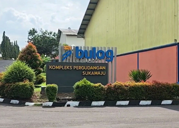 Pasokan Beras di Sumsel dan Babel Aman Beberapa Bulan ke Depan