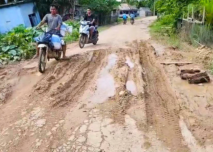 Warga Desa Layan Keluhkan Jalan Rusak Parah, Para Murid Harus Berkubang Lumpur Saat Musim Hujan