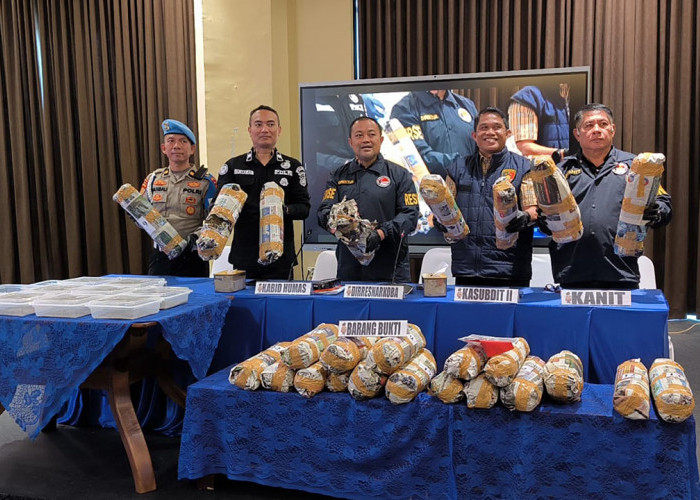 Selain Ganja Kering, Polda Sumsel Ungkap Persemaian Ribuan Bibit di Empat Lawang