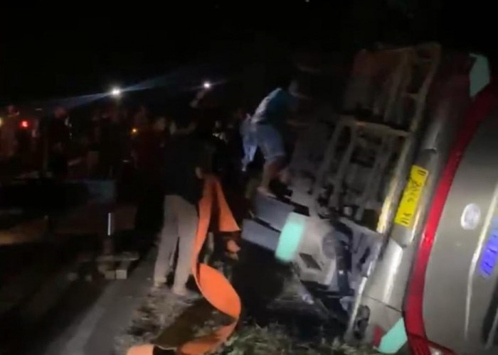 Breaking News, Bus Rombongan Calon Jamaah Umrah Kecelakaan di Muba, 4 Orang Tewas di Tempat
