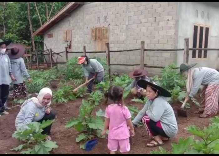 Video: Warga Desa Pelajau Ilir Mulai Galakkan Tanam Sayur di Perkarangan Rumah