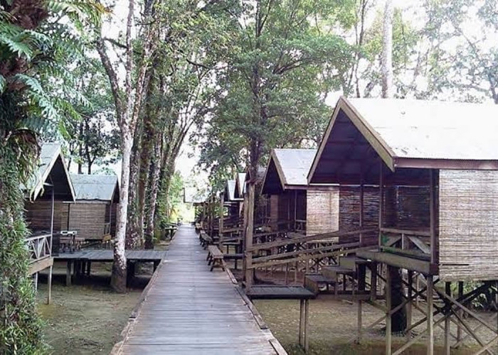 Taman Wisata Kumkum: Kebun Binatang Mini di Jantung Palangkaraya