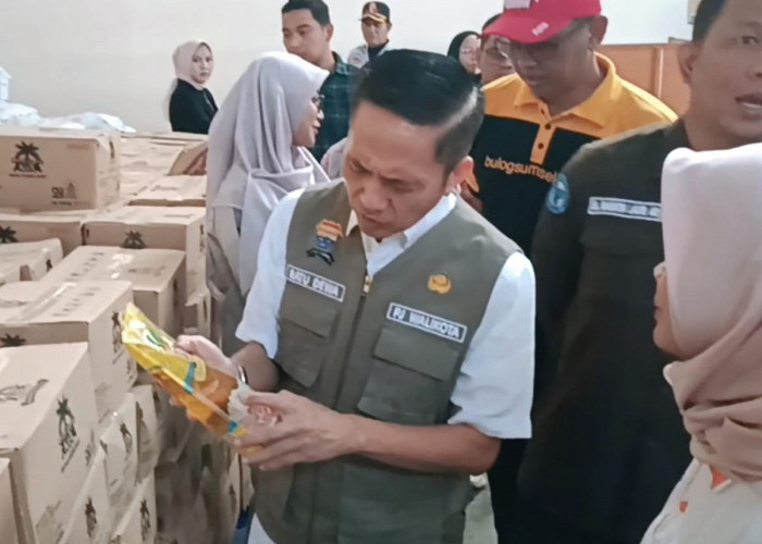 Kendalikan Harga Pangan dan Inflasi, Pj Walikota Palembang Ratu Dewa Lakukan Monitoring Secara Langsung 