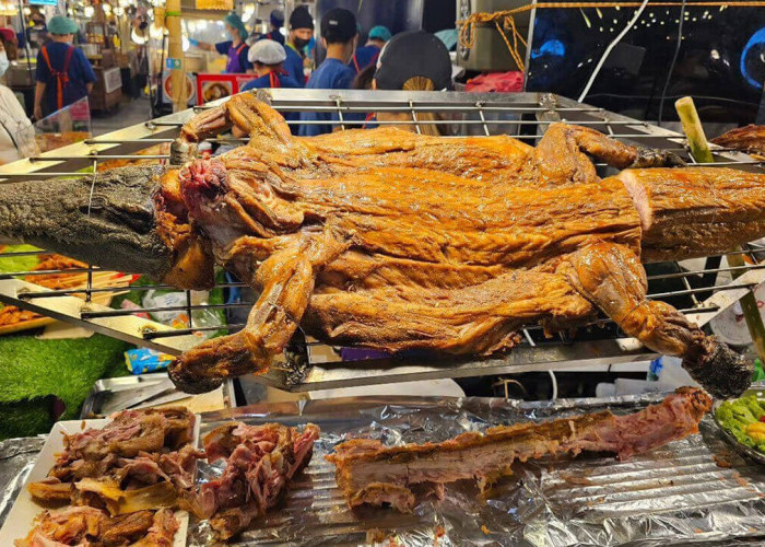 Daging Buaya Thailand, Berkhasiat Bagi Kesehatan dan Bisnis yang Melejit