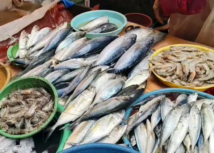 Awal 2026, Harga Ikan Laut di Pasar Kuto Palembang Alami Kenaikan