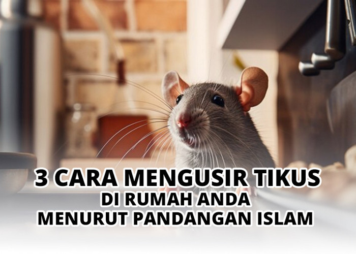 3 Cara Mengusir Tikus di Rumah Anda Menurut Pandangan Islam 