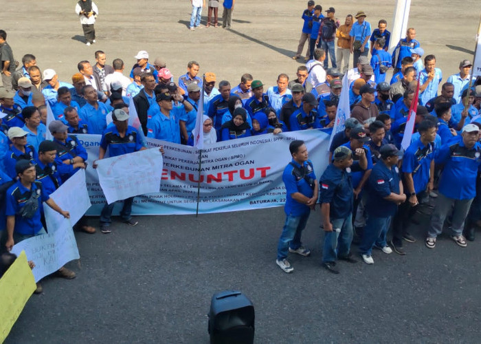 Karyawan PTP Mitra Ogan Kembali Demo Tagih Pembayaran Gaji
