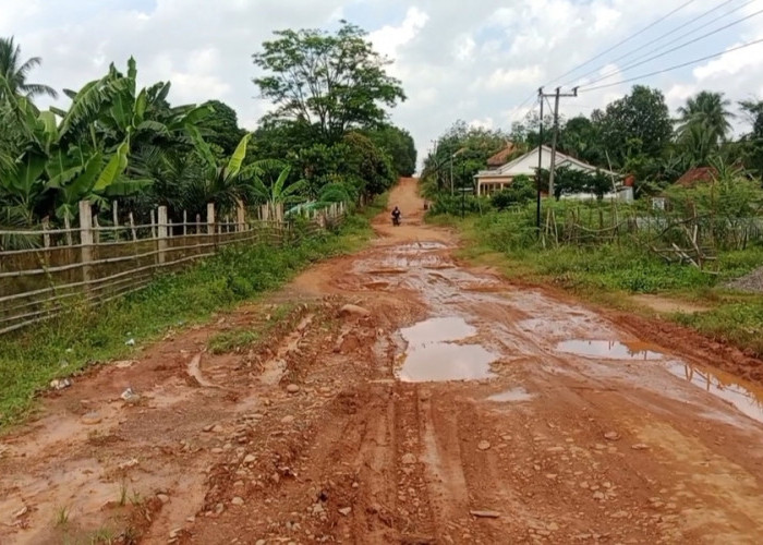 Jalan Rusak Parah, Warga Banuasin Harapkan Perbaikan Segera